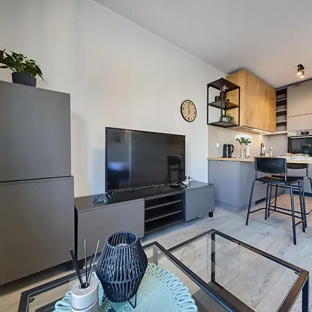 Apartment Urban Chic - Center - One Bedroom - Opolska Katowice