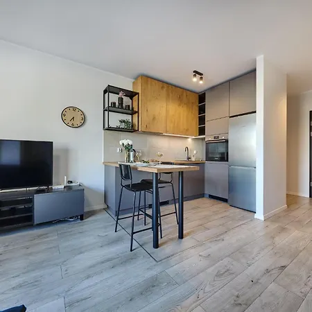 Apartment Urban Chic - Center - One Bedroom - Opolska Katowice
