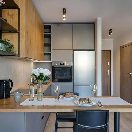 Apartment Urban Chic - Center - One Bedroom - Opolska
